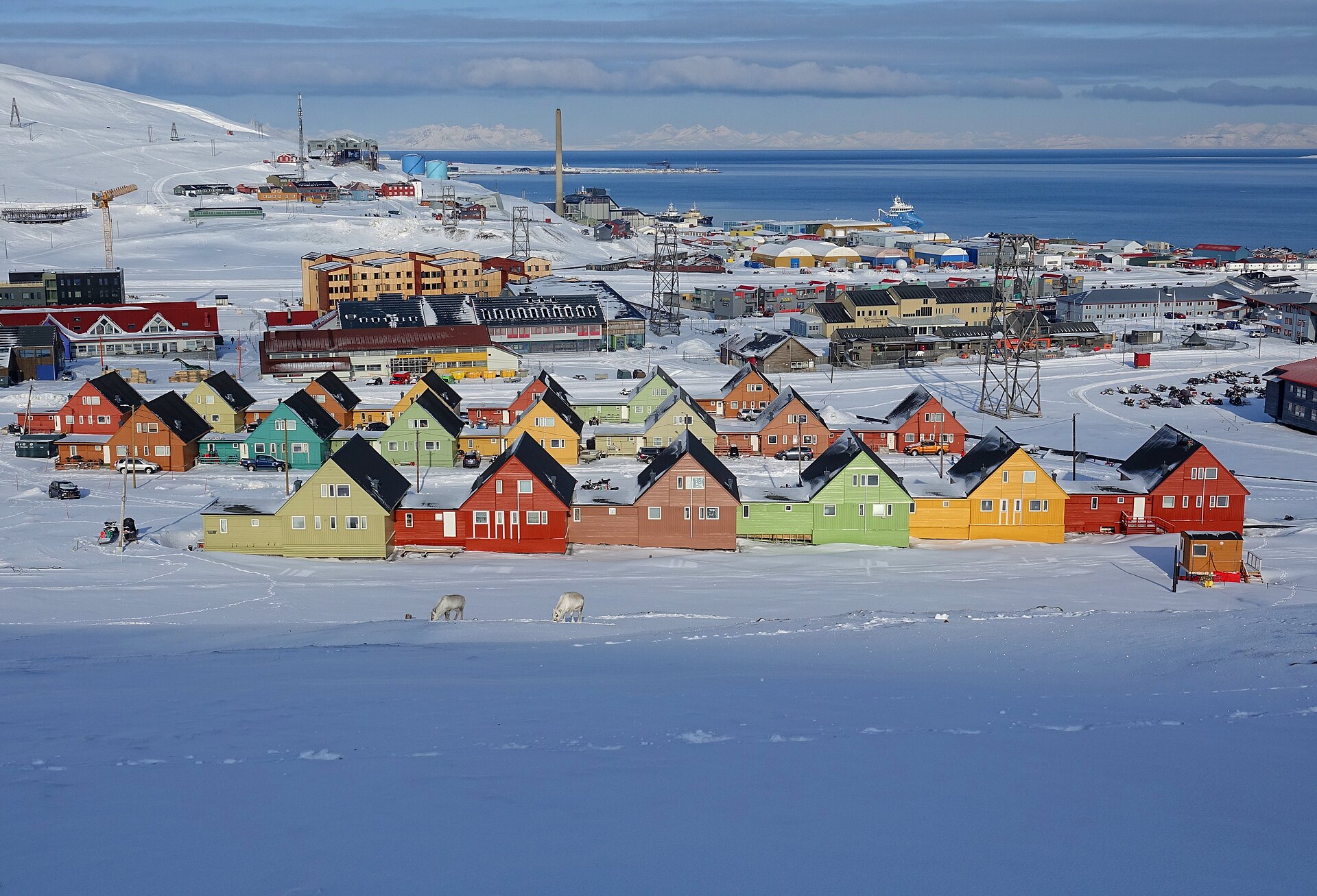 The Arctic