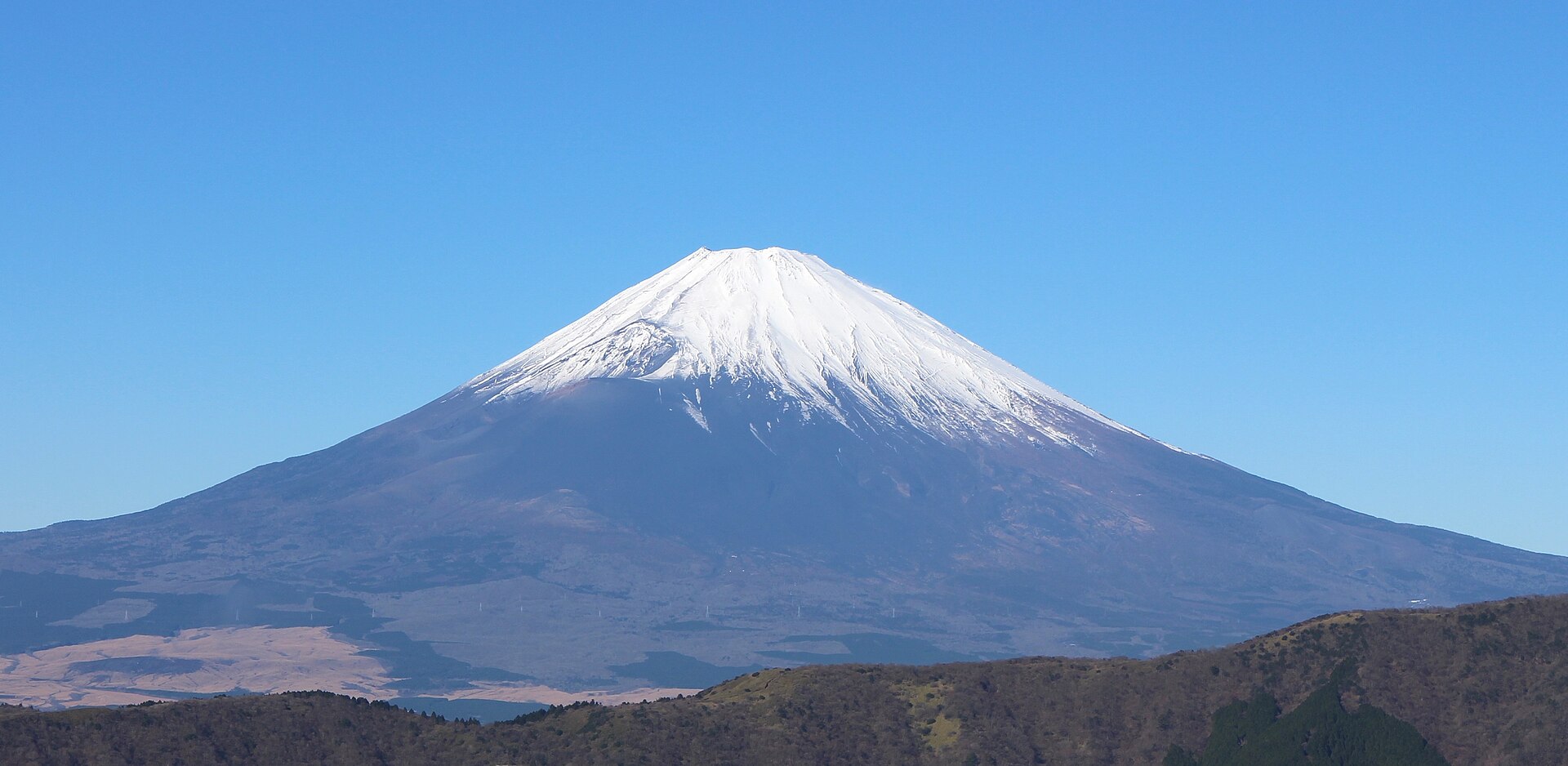 Asia Pacific
